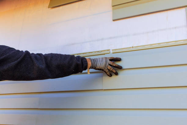 Best Custom Trim and Detailing for Siding  in USA